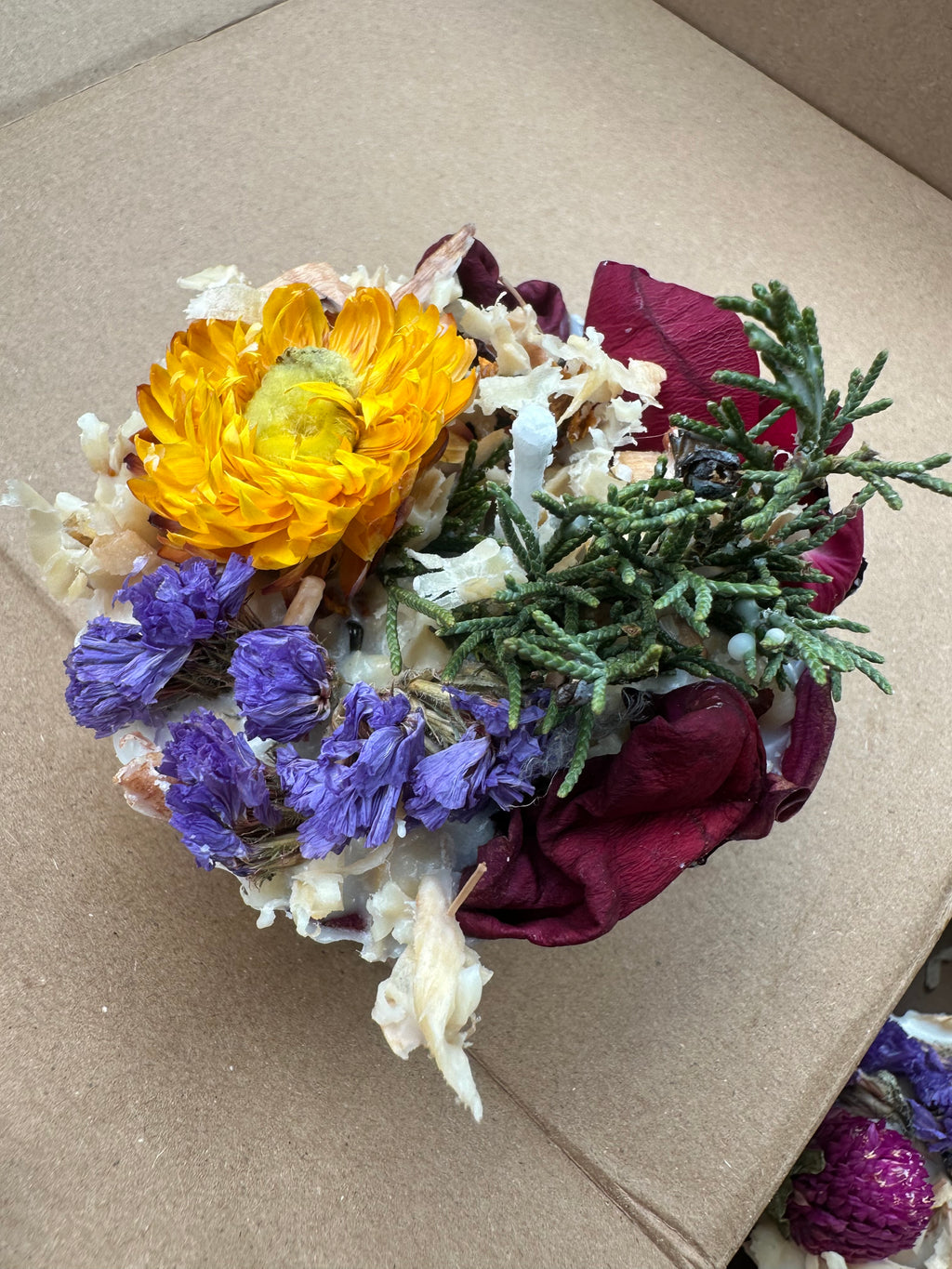 Botanical Fire Starter (5-Pack)