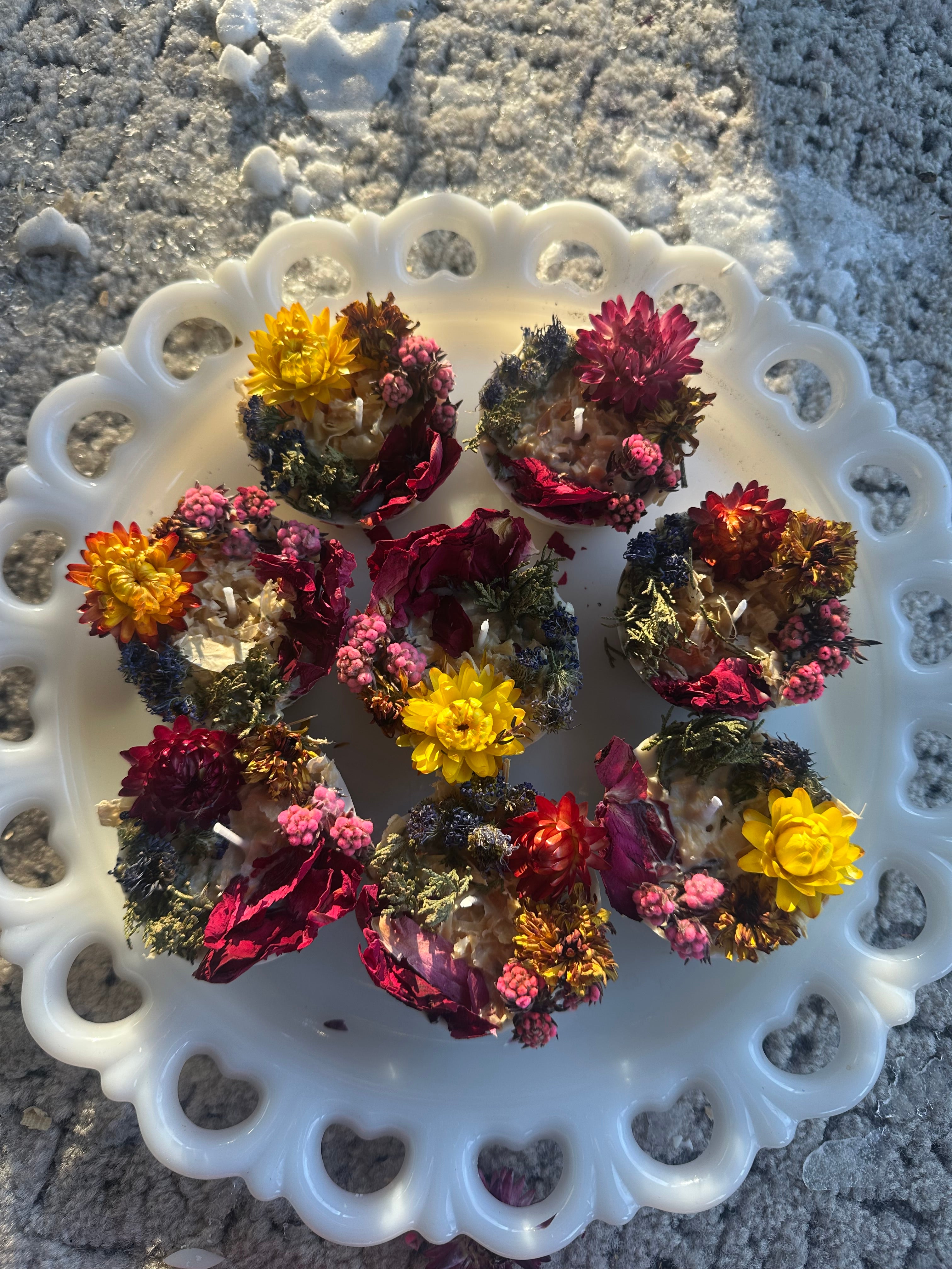 Botanical Fire Starter (5-Pack)