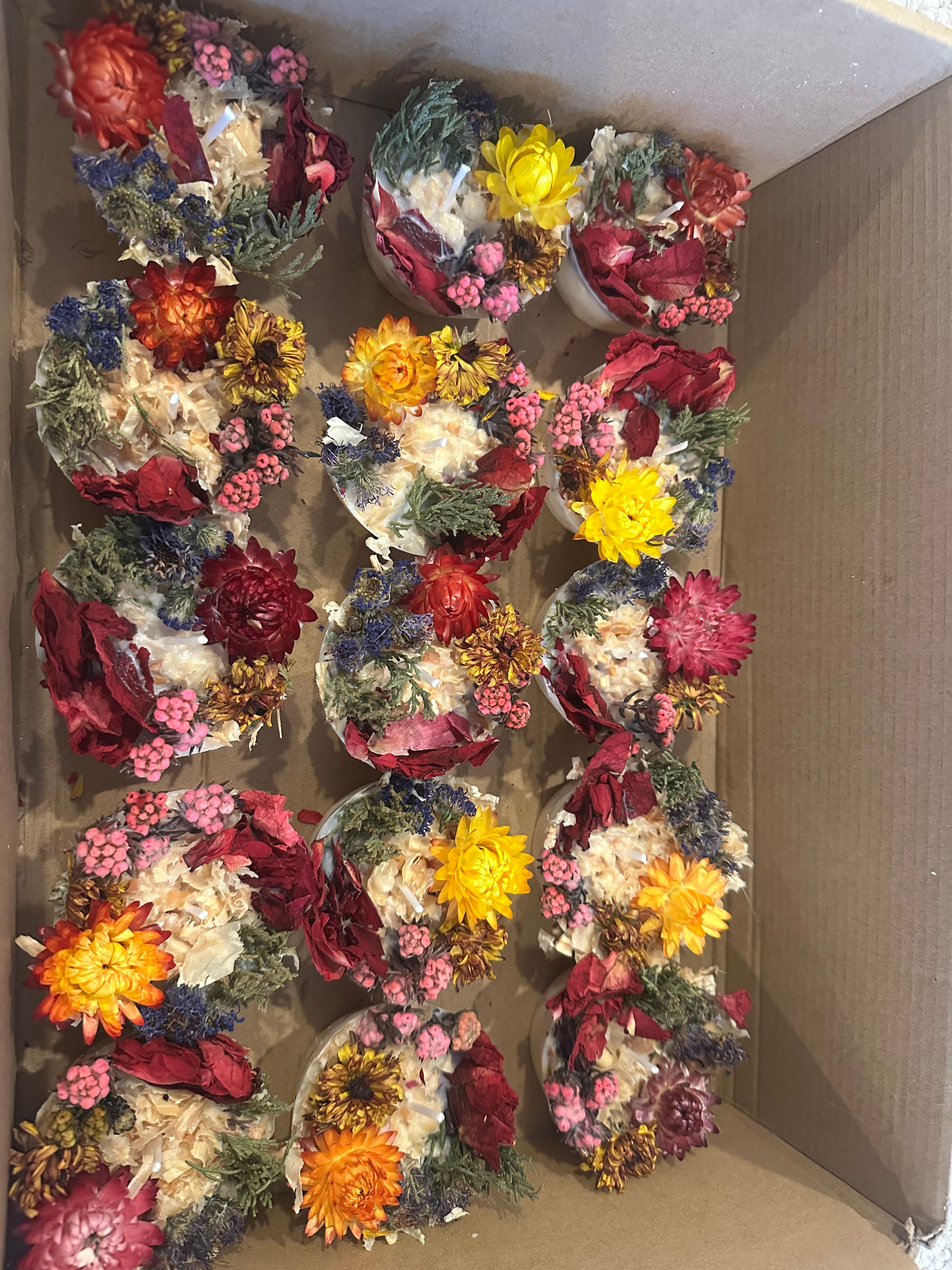 Botanical Fire Starter (5-Pack)